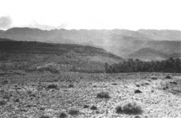 9176206.jpg
