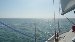 P1050928 - copie.JPG