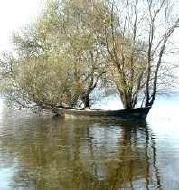 Pierres-Aigues - copie.jpg