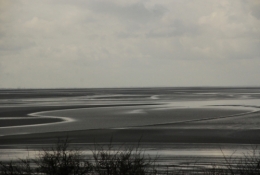 DSC_3902 - copie.jpg
