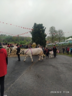 Fin gras à Présailles_Dimanche 2 juin 2024