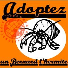 Adoptez un Bernard L'hermite!