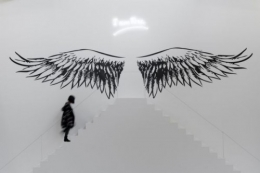 art,exposition,paris,moataz nazr,envol,liberté,sensation,partage,humain