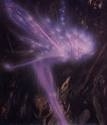 images-1.jpeg