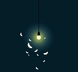 42402379.gif