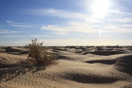 desert3.jpg