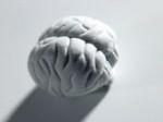 bn236066.jpg
