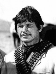 bronson-charles2.jpg