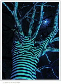 arbre-tribal.jpg