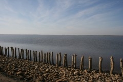 beauduc4.jpg
