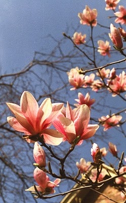 010_08A-1.jpg