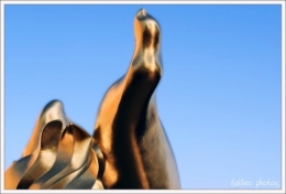 thumb-flamme_statut_liberte_photo.jpg