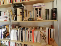 livres,bibliothèque,amour,blog,échange,partage,émotion,écriture,photographie,humain
