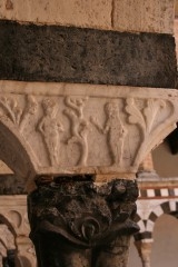 IMG_3872.jpg
