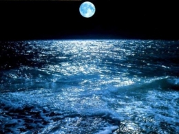 mer_bleue.jpg