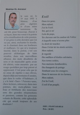 quatrième de couverture.jpg