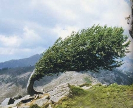 vent_corse.jpg