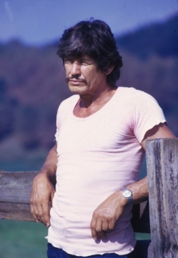 Bronson_1973.jpg