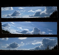 2528004024_0534355f07_m.jpg