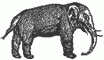 elephant.gif