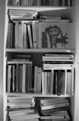 biblio 2.jpg
