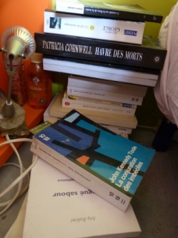 livres,bibliothèque,amour,blog,échange,partage,émotion,écriture,photographie,humain