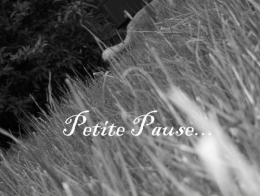 pause.jpg