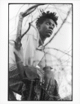 basquiat1.gif