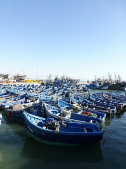 P1060229.jpg