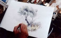 stage-aquarelle-provence-olivier.jpg