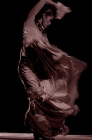 flamenco.jpg