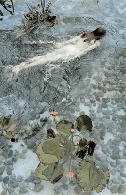 Elizabeth Opalenik-1.jpg