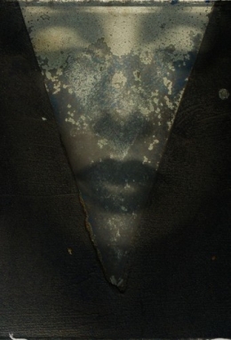 Tony Toste.jpg