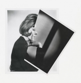 20110513093540_Stezaker_III_she.jpg