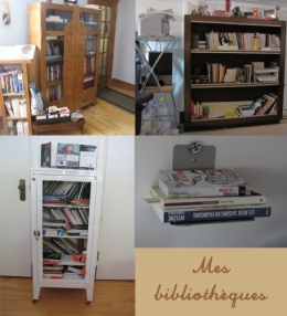 Mes bibliothèques.jpg