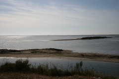 beauduc 7.jpg