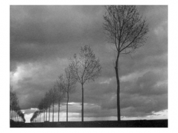 Pluie1.jpg
