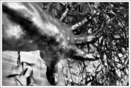 thumb_sculpture_toulouse_hotel_d_assezat2.jpg
