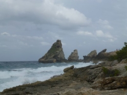 P1000599.JPG