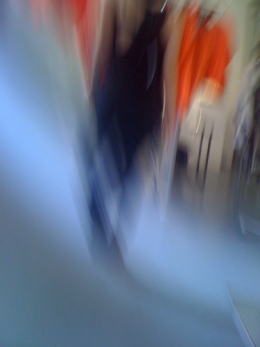belle image.jpeg