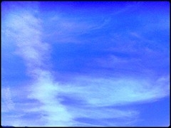 2702022836_601f78c6bf_m.jpg