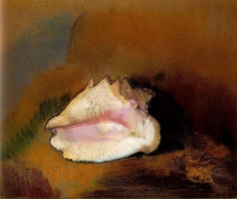 717px-Redon.coquille.jpg