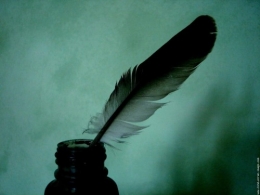 plume.jpg