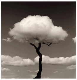Chema Madoz.jpg