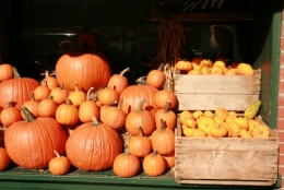 citrouille 1.jpg