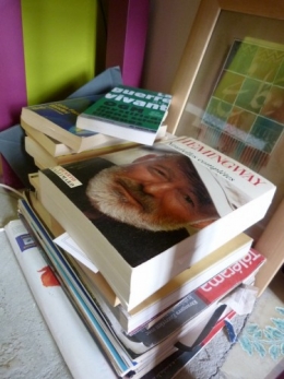 livres,bibliothèque,amour,blog,échange,partage,émotion,écriture,photographie,humain