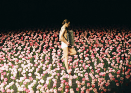 Tanztheater-Wuppertal-Pina-Bausch-Nelken_image-gauche.png