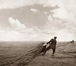 Robert_and_Shana_ParkeHarrison2.jpg