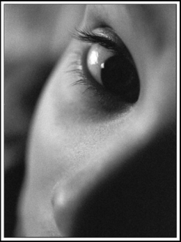 un-oeil-500.1231332982.jpg