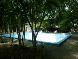 P1020742.JPG